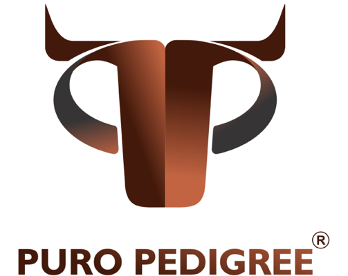 Puro Pedigree
