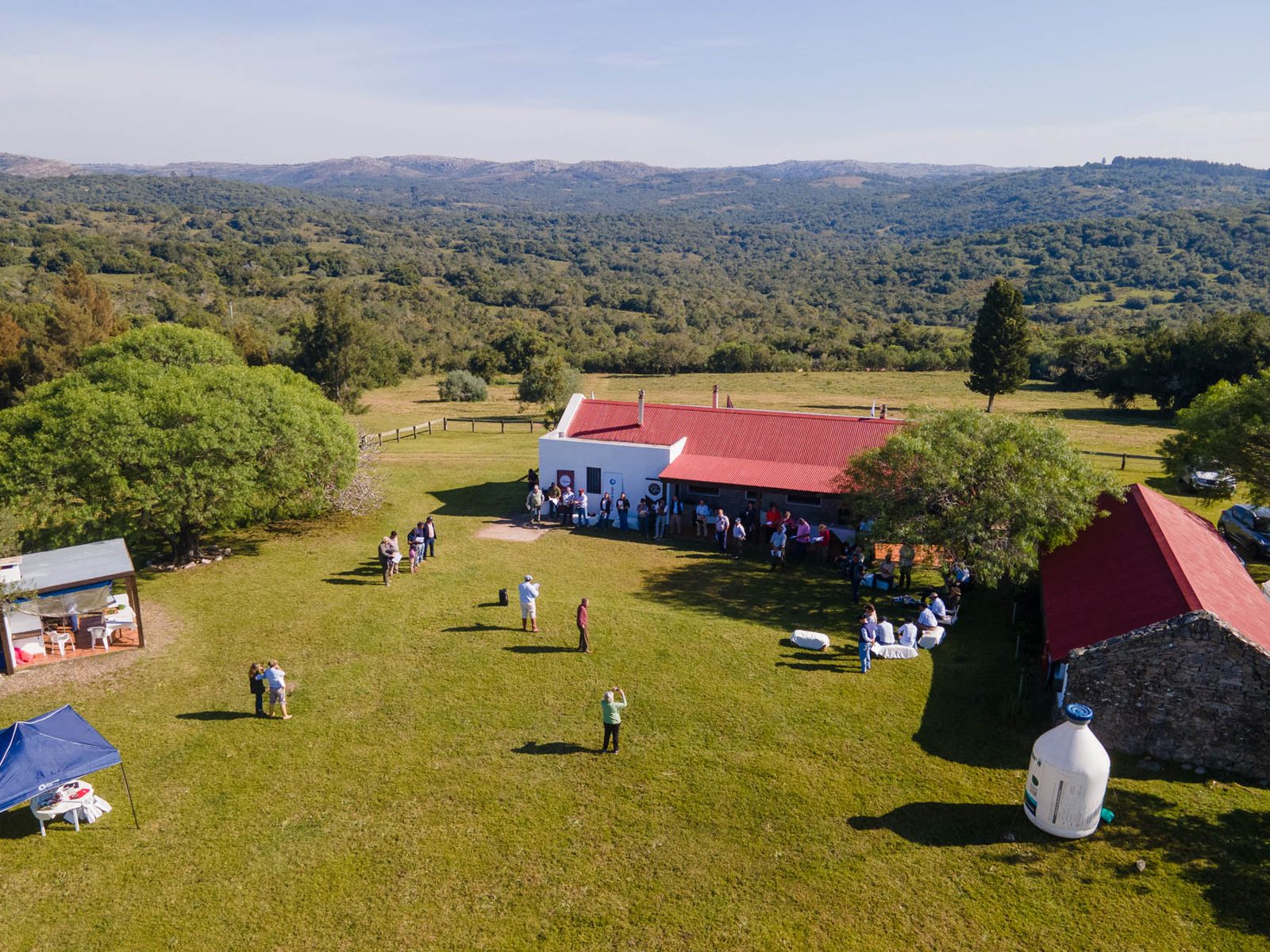 Gira Brangus 2025: genética, campo y camaradería