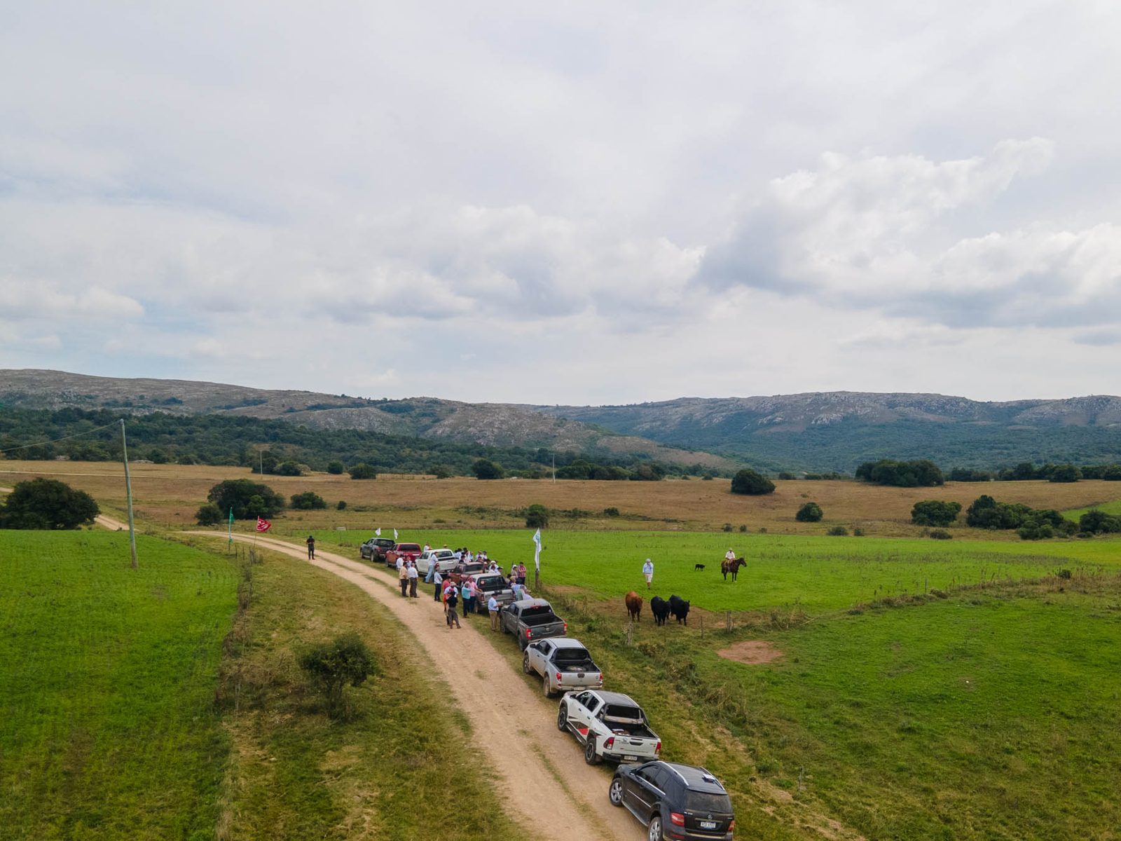 Gira Brangus 2025: genética, campo y camaradería