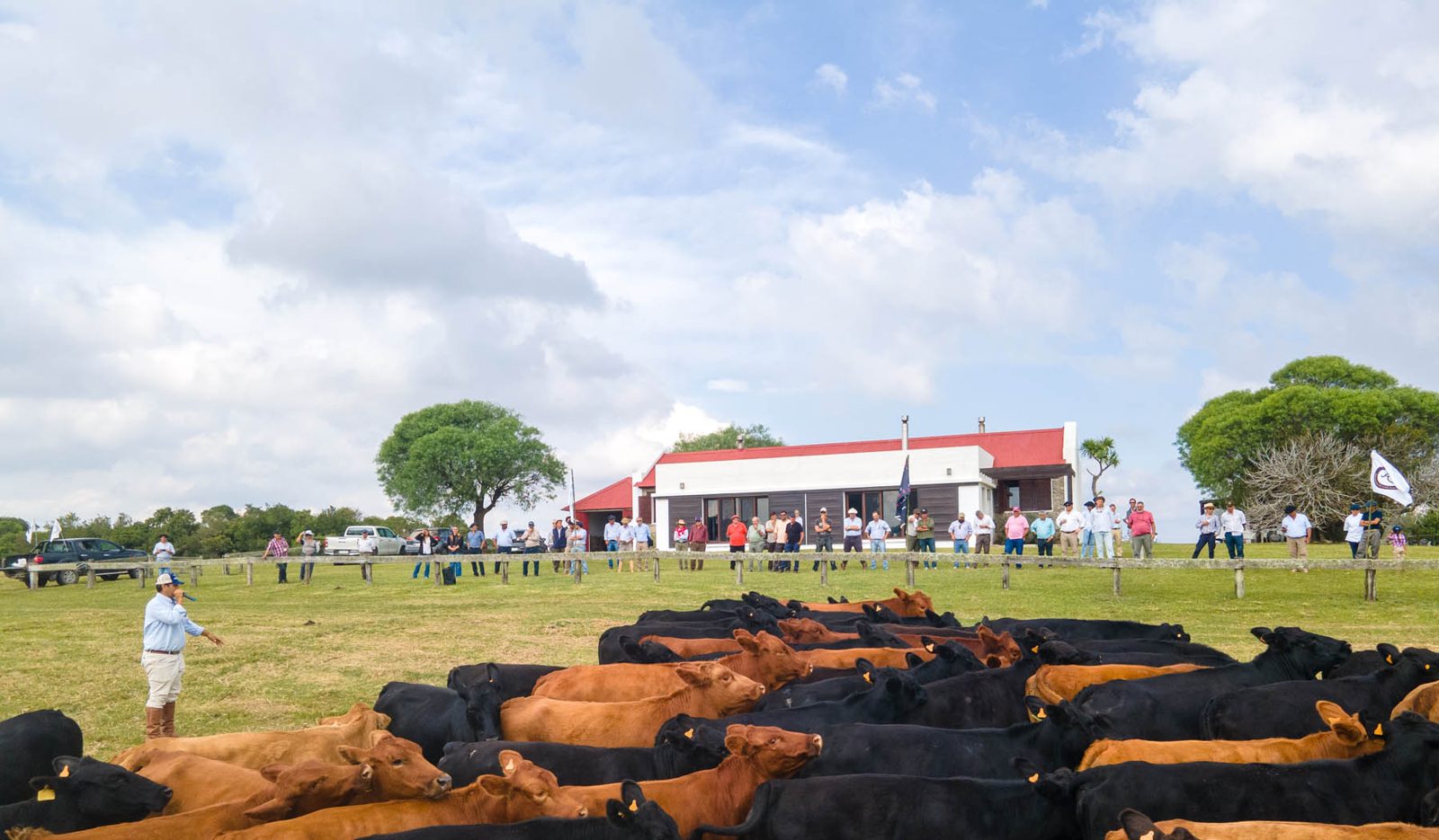 Gira Brangus 2025: genética, campo y camaradería