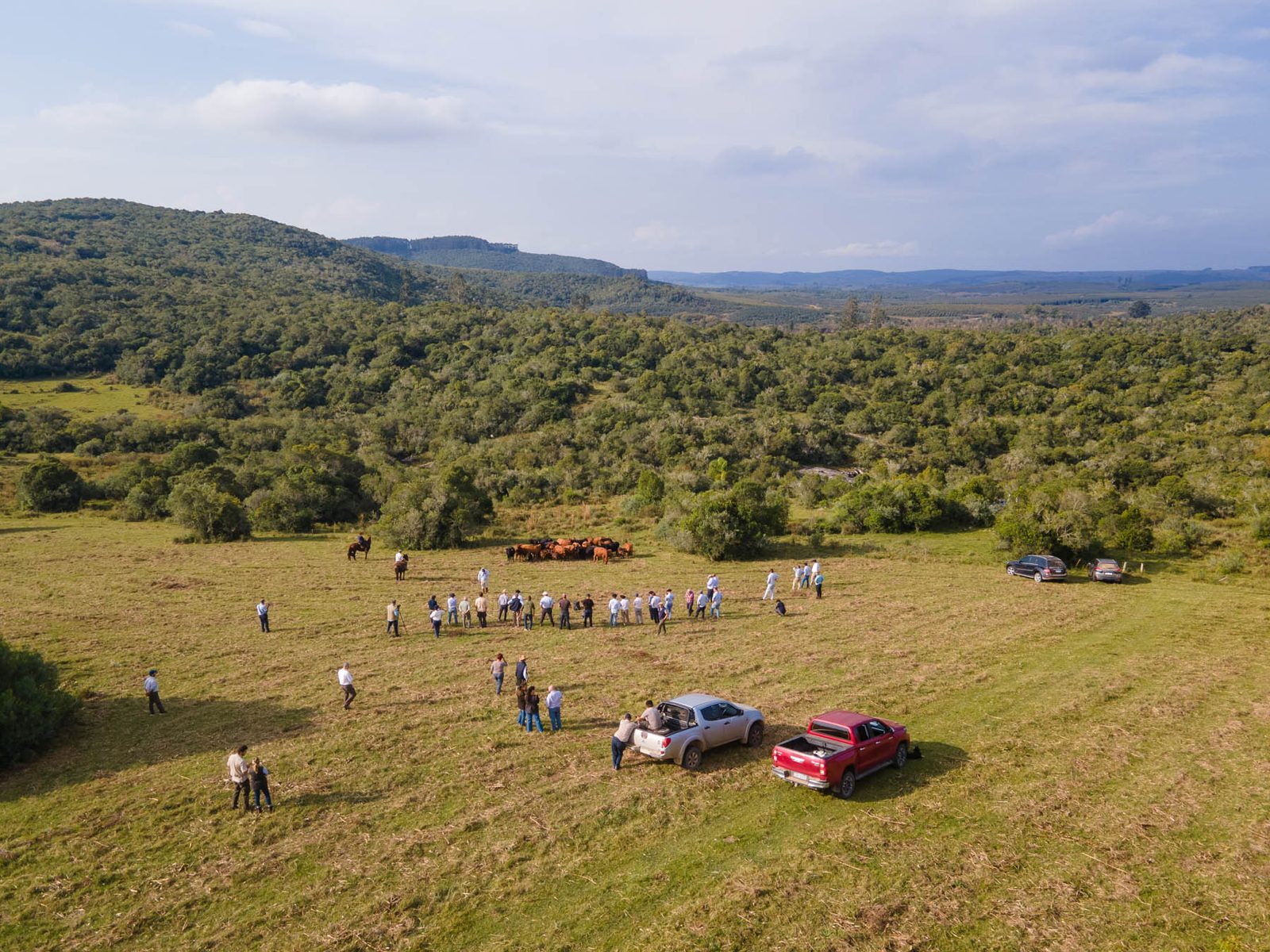 Gira Brangus 2025: genética, campo y camaradería